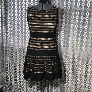 Taylor Lace Bandage Dress